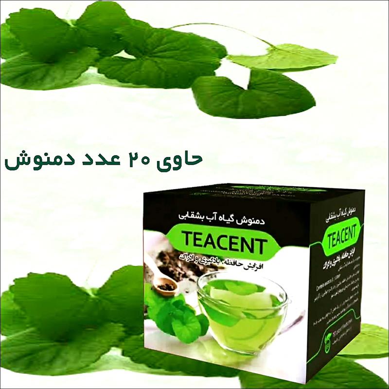 دمنوش گیاهی تی سنت